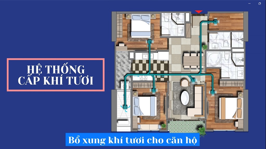 Viha Complex - Viha Leciva https://batdongsan358.com.vn 20